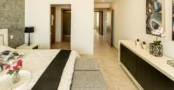 Meriden – Modelo S
